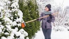 Do You Need to Shake Snow Off Garden Branches? Experienced Gardeners Answer